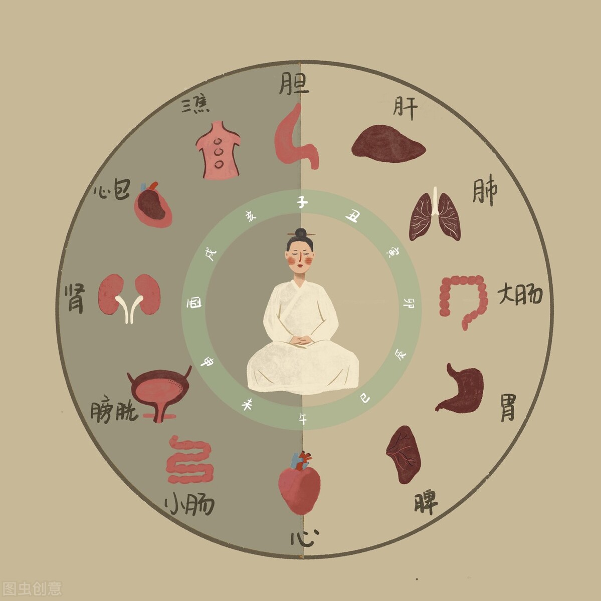 五脏六腑是一个整体,而孩子脏腑娇嫩,天生有三大不足:脾常不足,肺常不