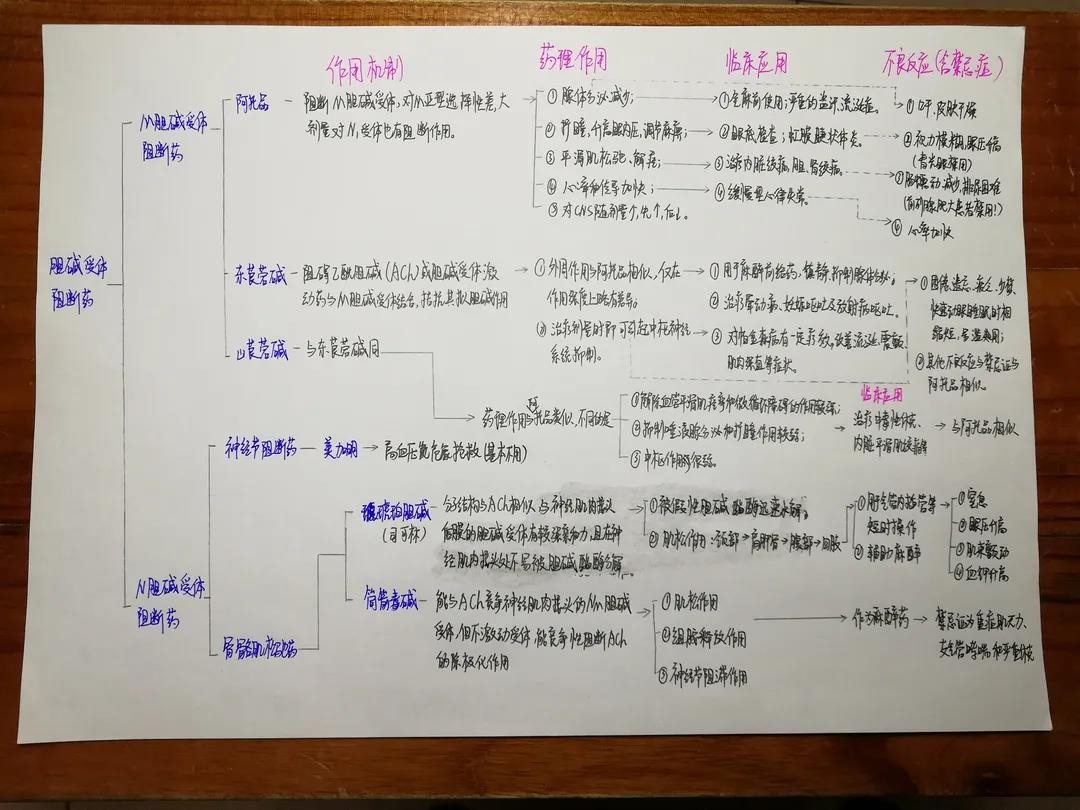 从湖北走出的女学霸，名列专业前茅，斩获国家奖学金，保研985名校！