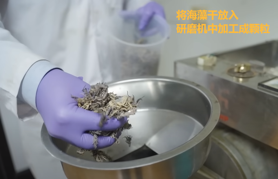 塑料怎么做出来的（塑料制品有哪些）-第6张图片-科灵网