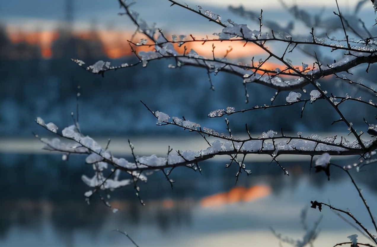 赞美冰雪的现代诗句(「原创诗词」管恩锋 | 若无瑞雪催春发 哪有千花焕彩颜（咏雪20首）)