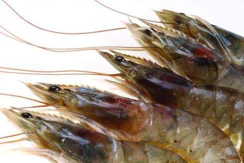 你所認為的錯誤生活健康常識