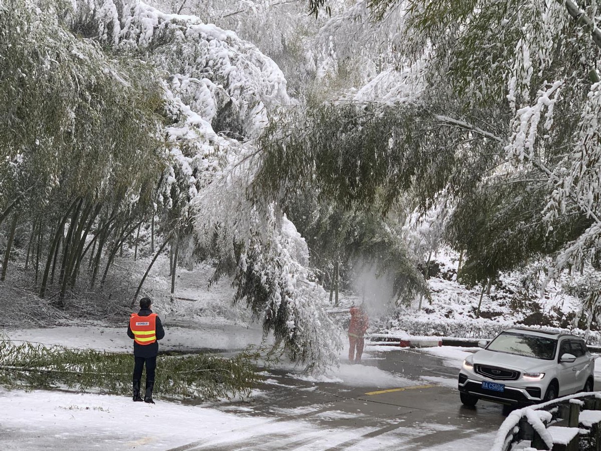 德国瑞典油锯353(迎雪而上，除雪保畅)