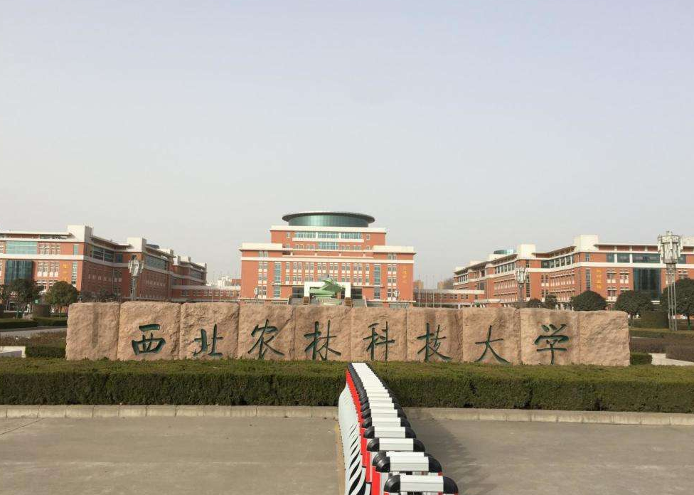 国内副部级高校最新排名，西交大挤进前十，北师大的排名出乎意料