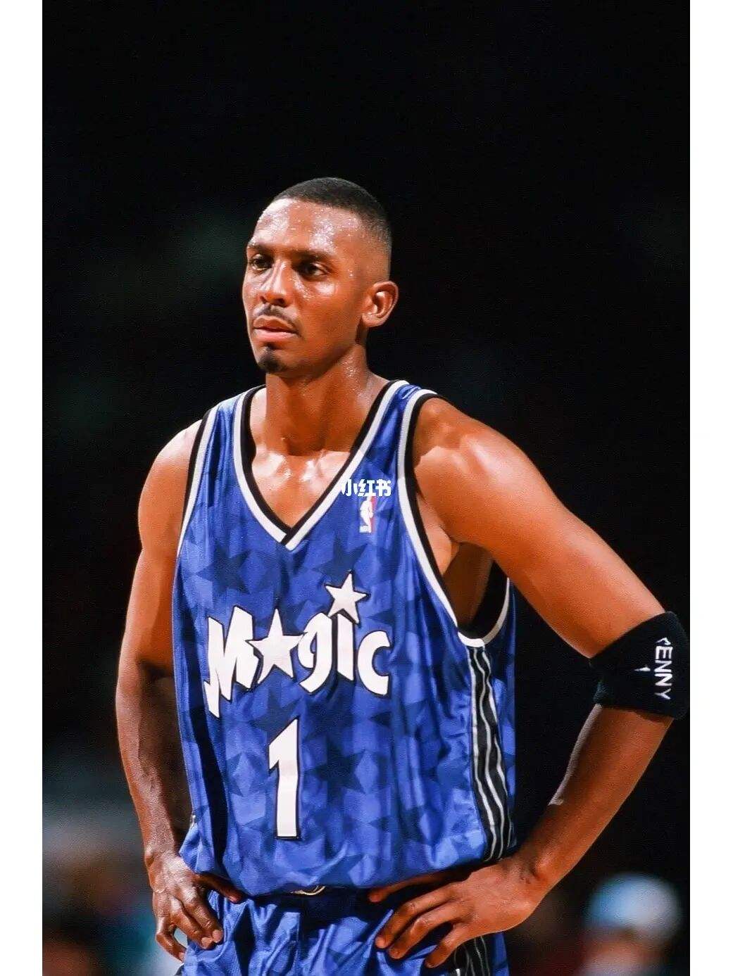 安芬尼·哈达威百科(nba365天365星——安芬尼哈达威)