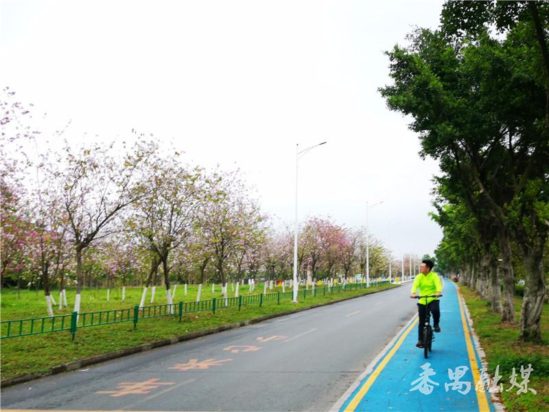 ��خ����ˮ���̵������Ͼ���������