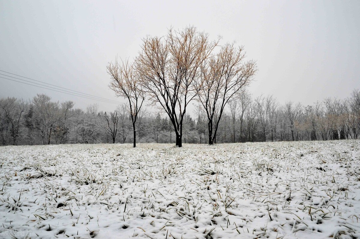 农村俗语“冬至落雨星不明，大雪纷飞步难行”，冬至阴雨好不好？