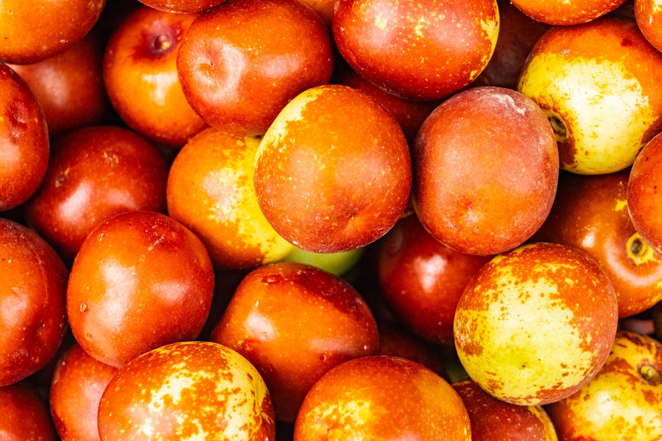 原来养生这么简单!每天几颗冬枣健康长寿不是梦,还不吃起来?-蘑菇号