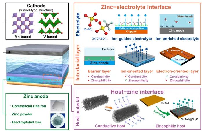 重磅！首届中南大学重大学术进展入选成果揭晓