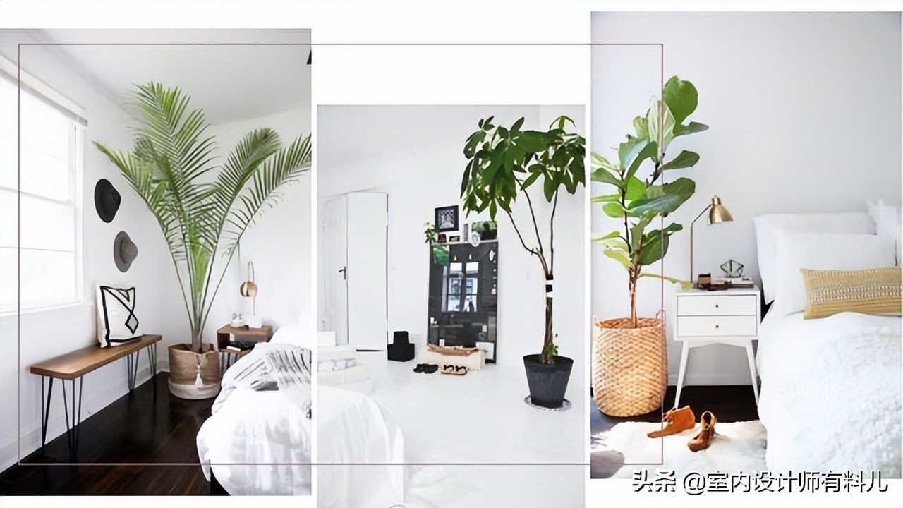 同样是90平的房子，邻居家看起来比我家大，真羡慕
