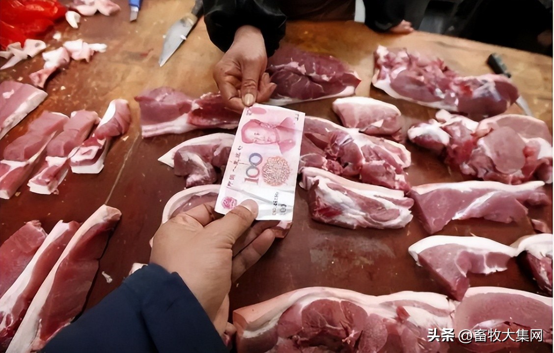 超市今日猪价表「北京超市猪肉价格今日猪价」