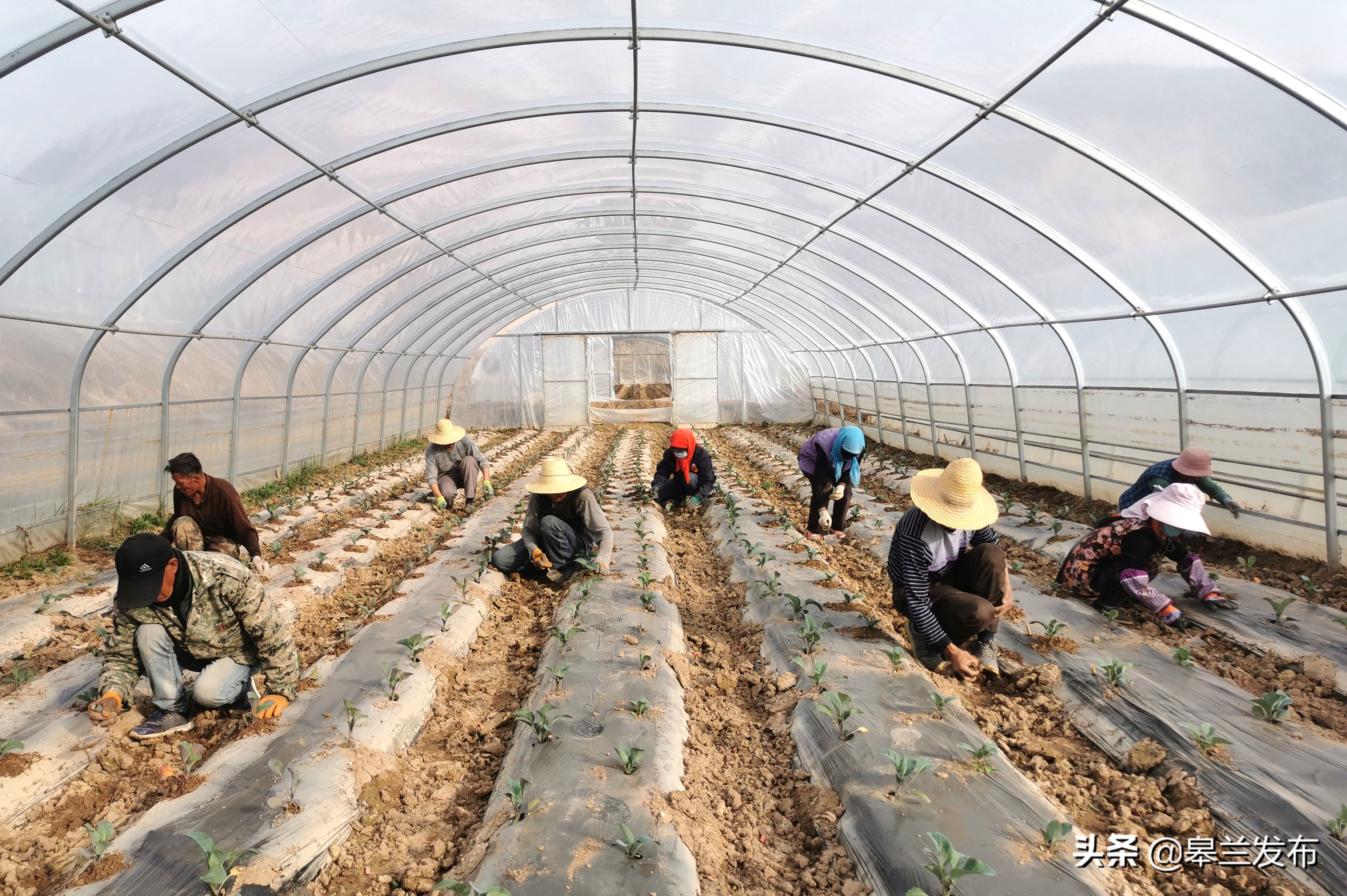 �������ⲻ��ũ�� �������ﴺ��æ