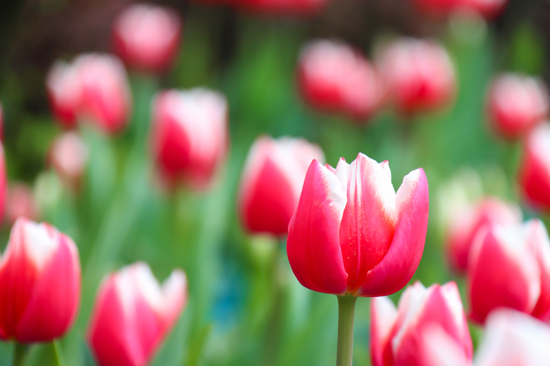 �������� | ��������·������������