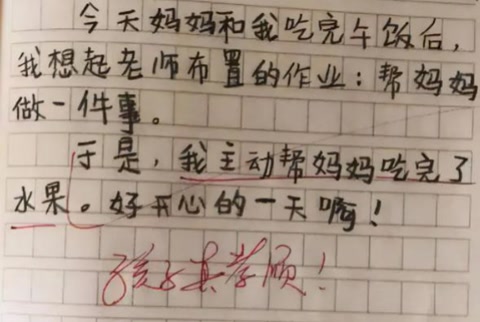 《我的小姨》一片小学生作文