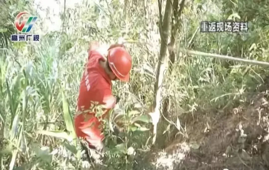 爸爸将女婴扔下山崖:“生出来的女儿,泼出去的水”
