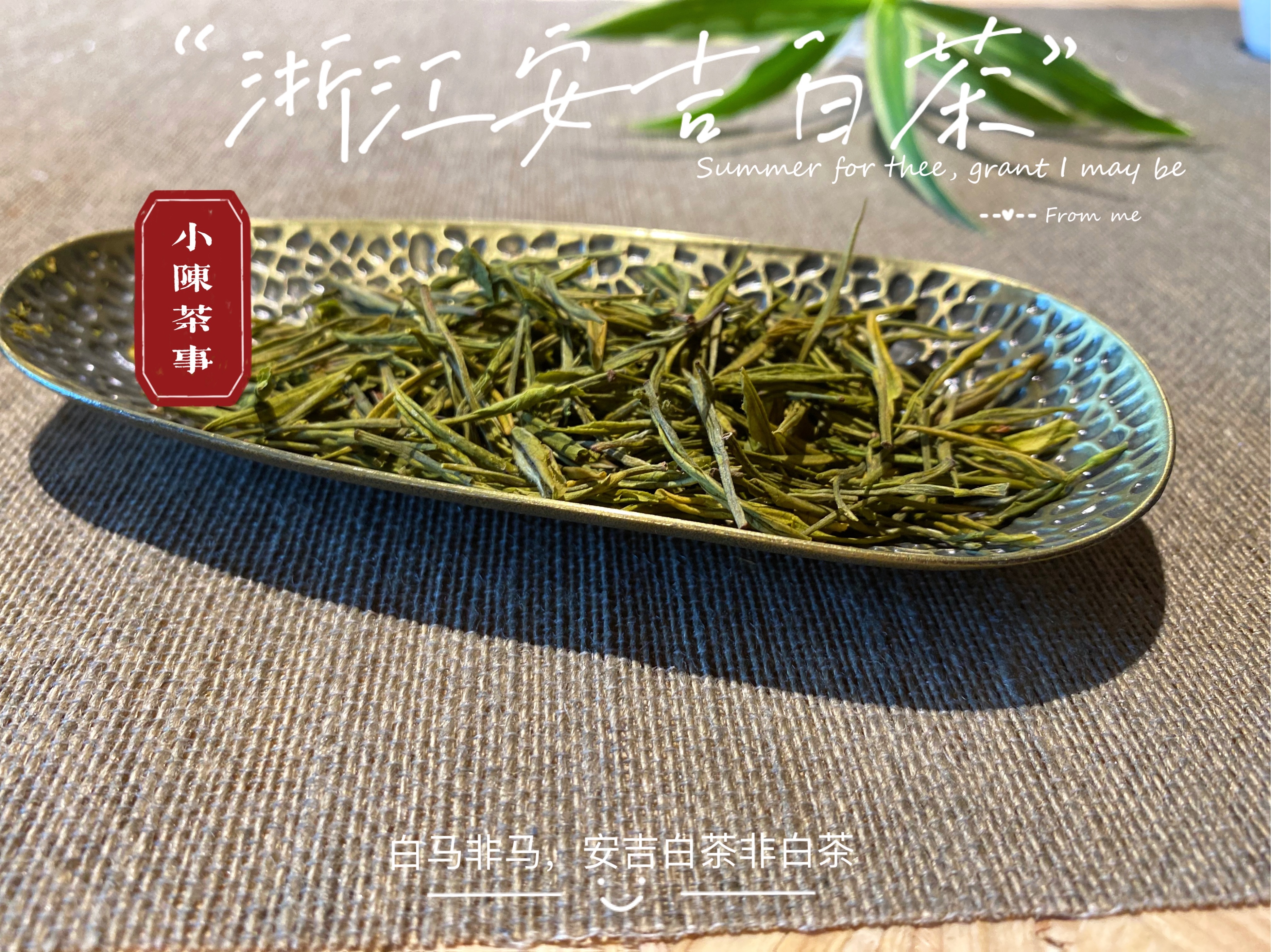 白茶和绿茶有什么区别（一文了解2款茶叶的区别）