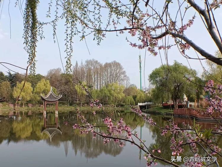 桃红柳绿蜂蝶舞 如月风景美如画（诗六首）