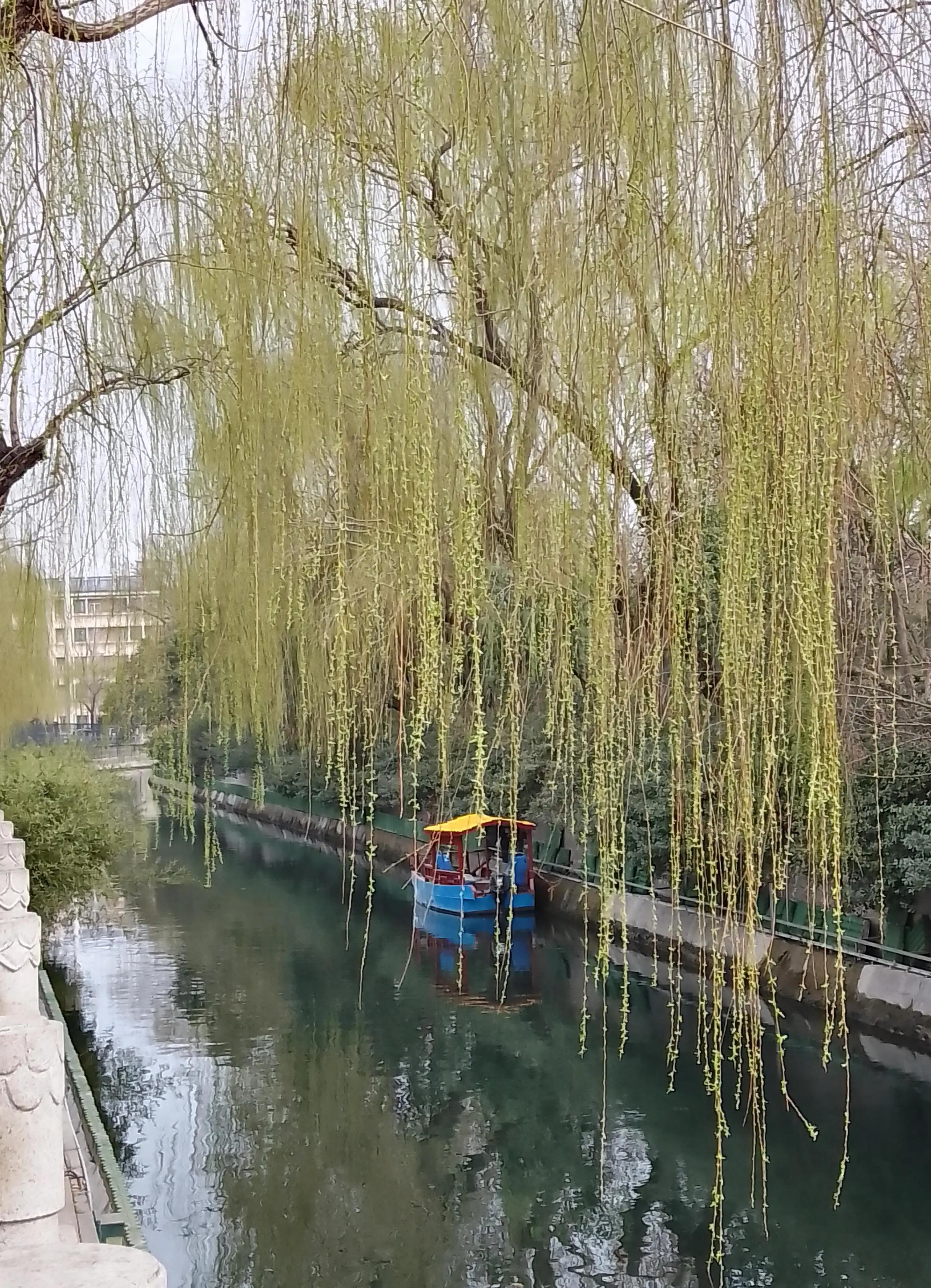 好一场热闹非凡的春满人间