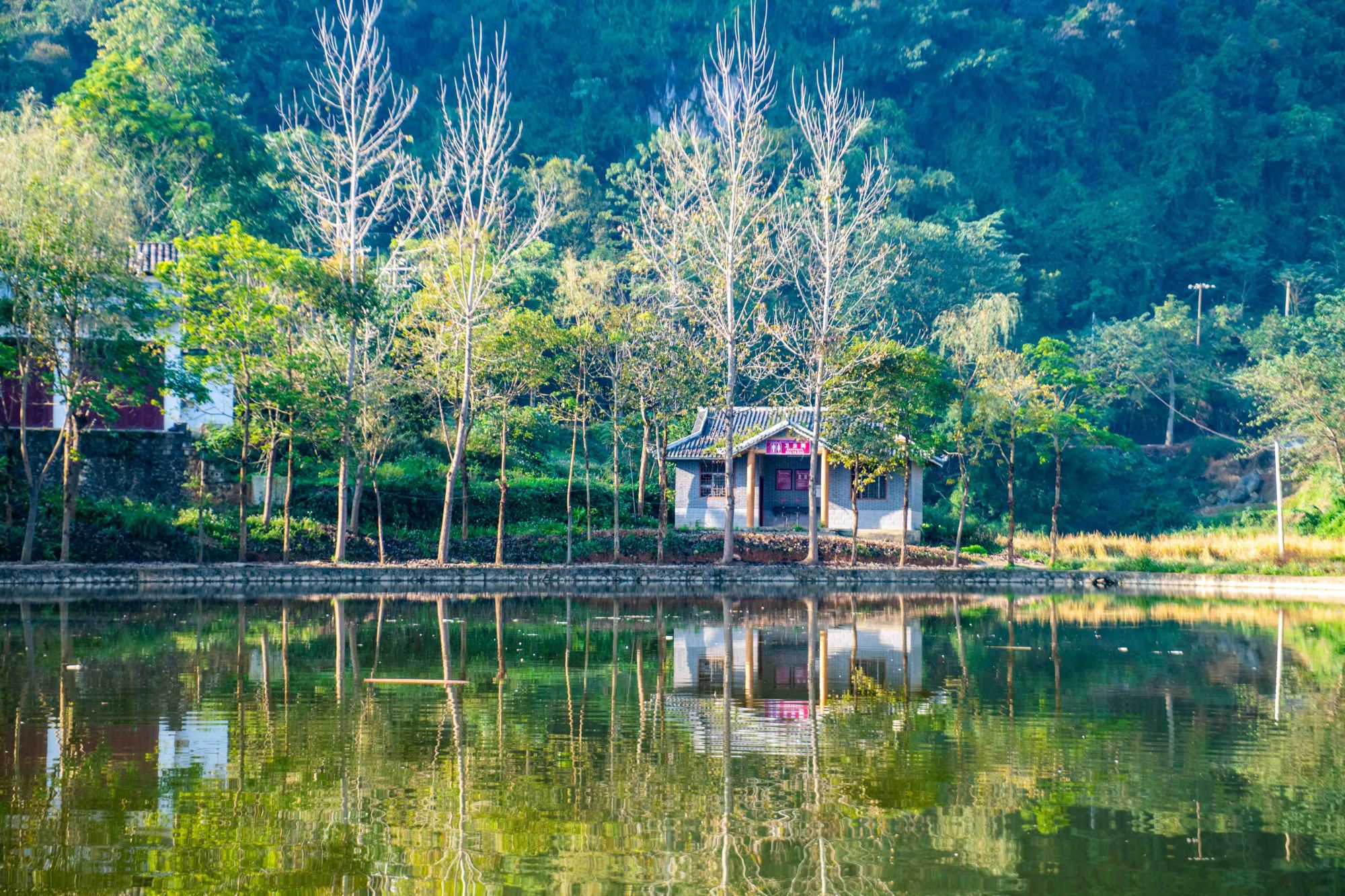 广西小众宝藏古镇！有山水如画的风景，也有古朴的烟火气息