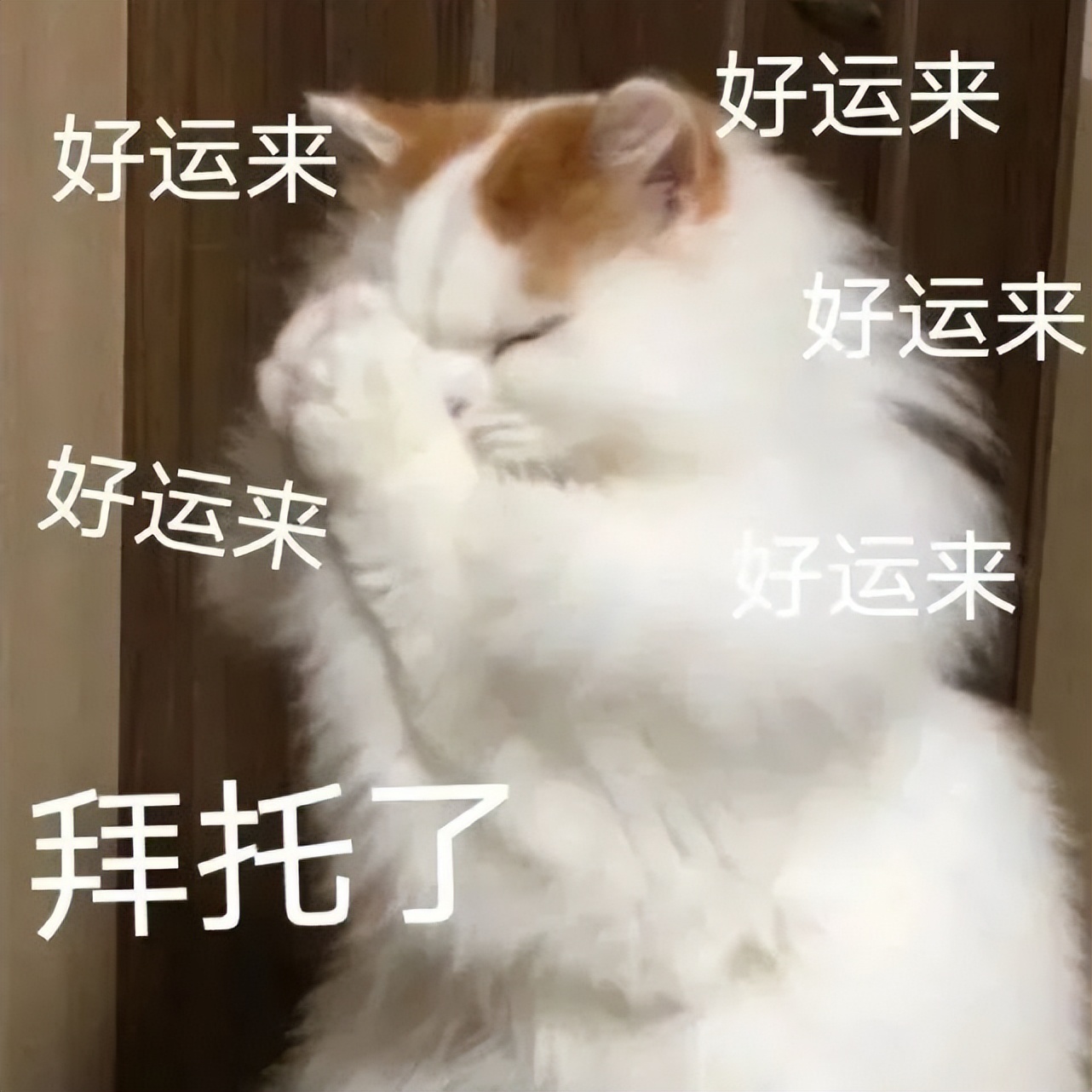 取消！延期！分批！四六级考情最全汇总来啦