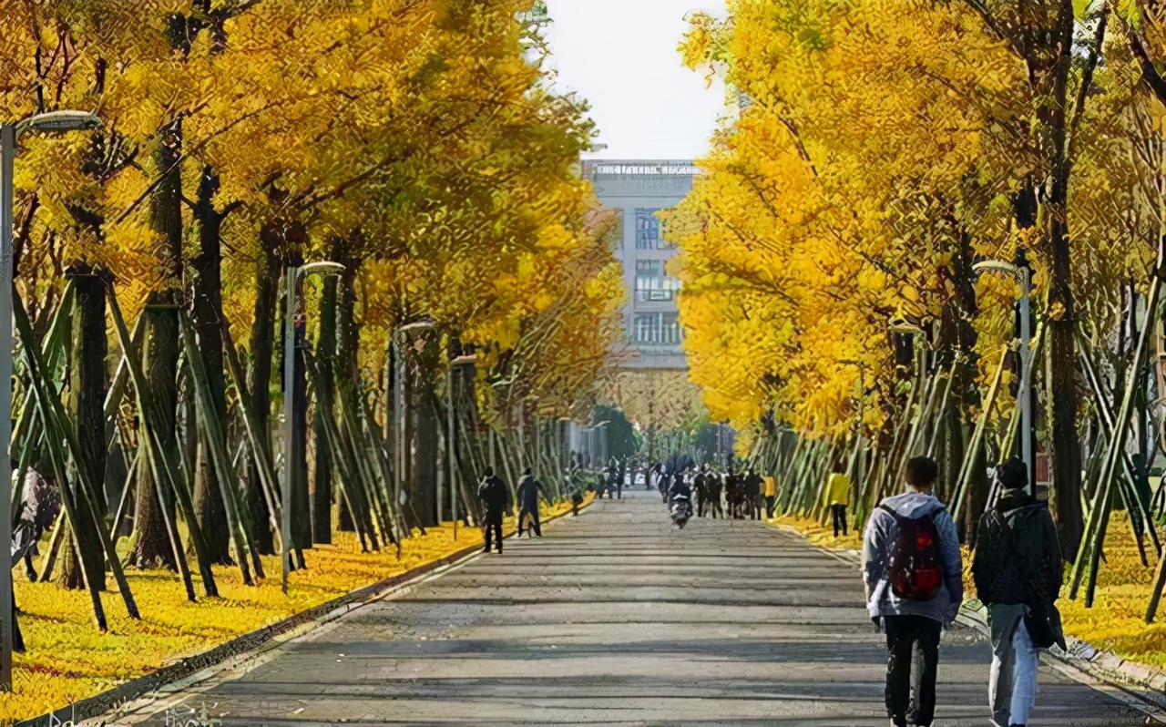 西南地区有所985，看似知名度不高，实则发展前景很好