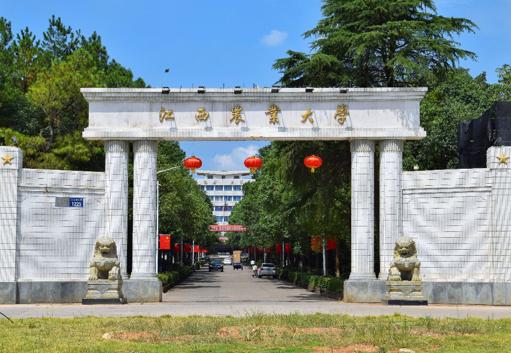 大学分类（国内大学的）