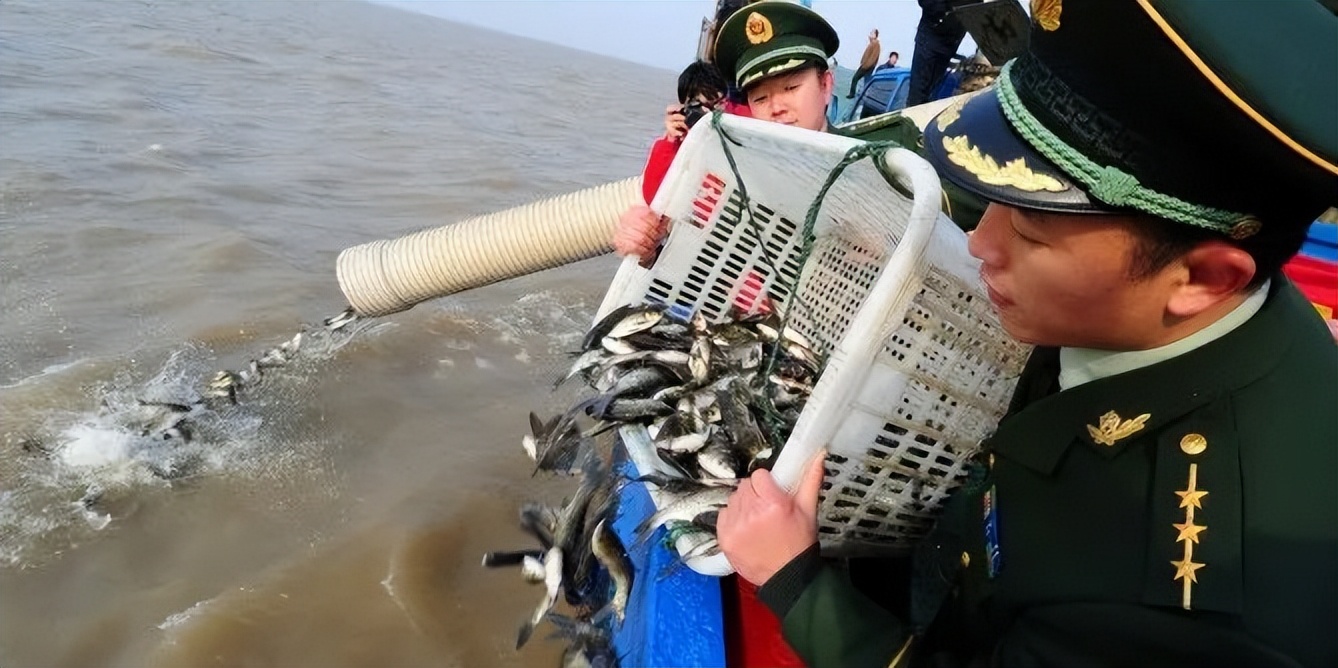 红虫本是水产育苗的好饵料捕捞红虫现在成了非法捕捞