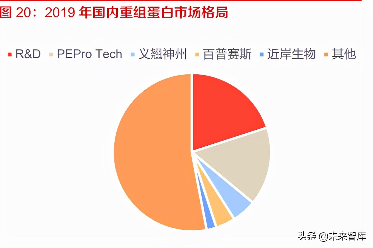 科学服务行业研究：需求旺盛叠加国产替代，看国产企业如何突围