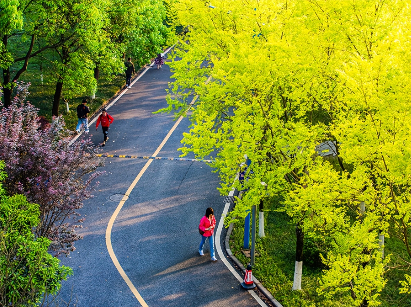穷学术浩瀚，育时代英才！西南政法大学：法学黄埔，声传天下！
