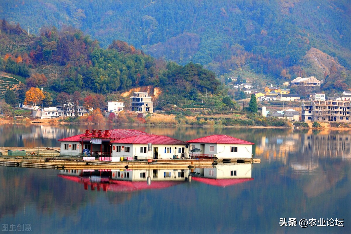 銅陵市惠農(nóng)補(bǔ)貼最新政策2022年：棉花補(bǔ)貼標(biāo)準(zhǔn)是多少？附補(bǔ)貼對(duì)象