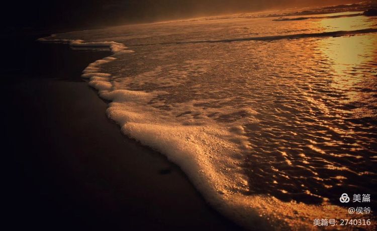 2018-10，半个世纪重聚首：复旦大学0163毕业50周年庆典重放