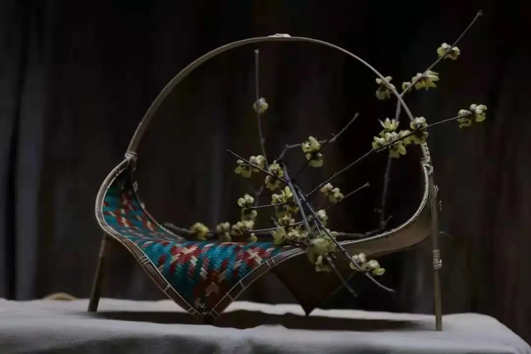 浙江科技学院2022年艺术类招生章程