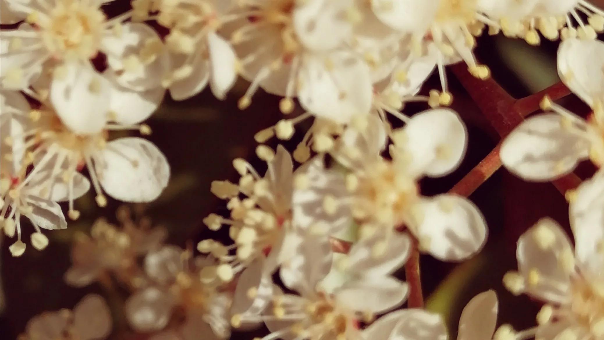 关于课堂10分钟训练抽查的情况通报