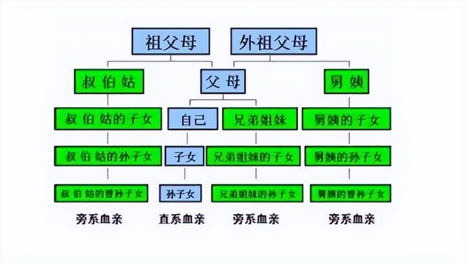 直系亲属包括哪些兄弟姐妹吗（直系亲属包括兄弟姐妹的配偶吗）