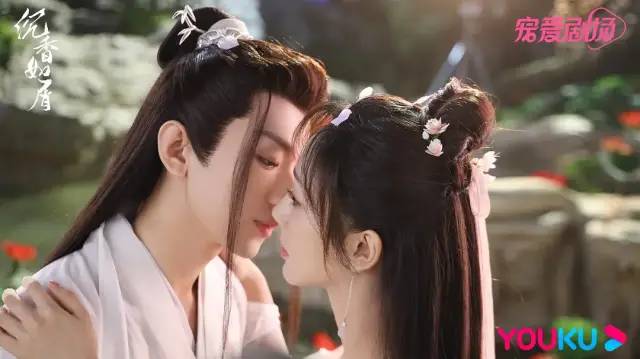 杨紫对不起，你不灵了