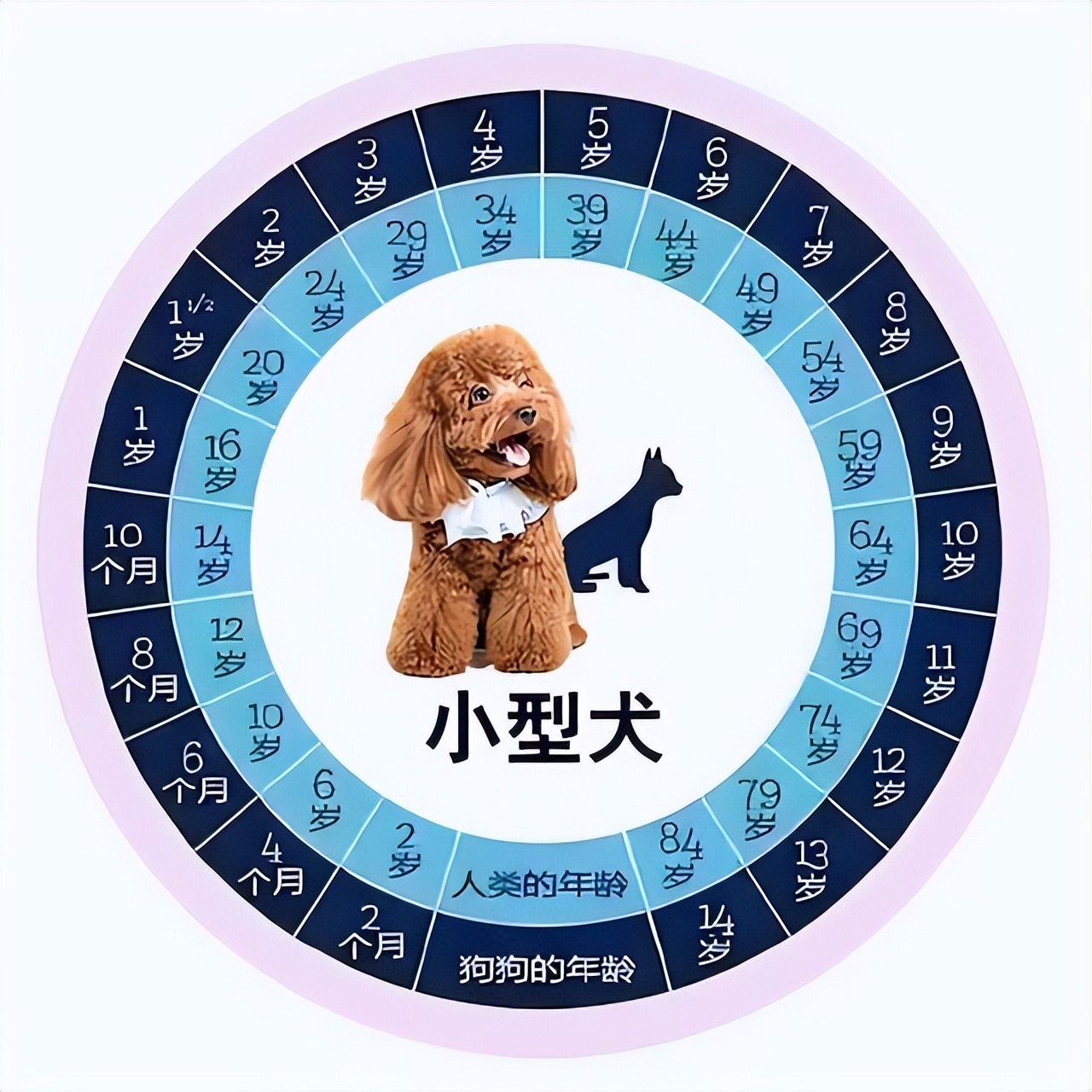 ô㣨ô ѧˣ-Ʒ