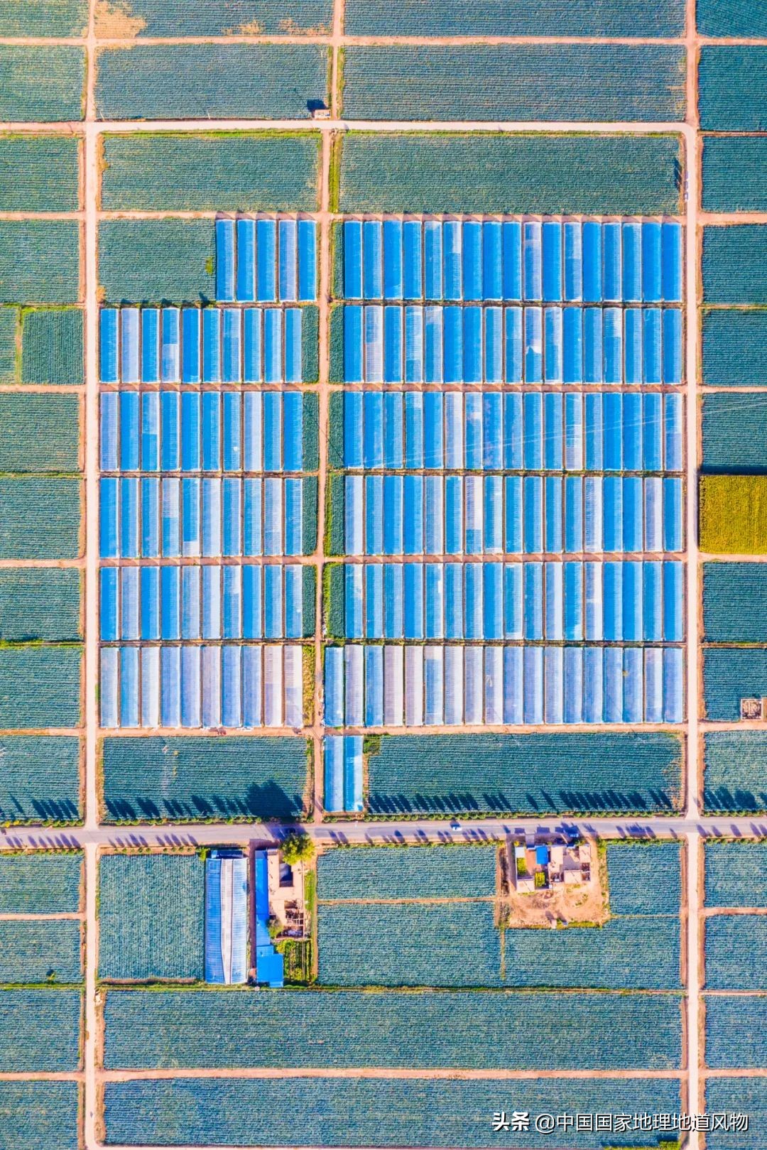 �й���͵����߲˴�ʡ��Ϊʲô�Ǹ��ࣿ