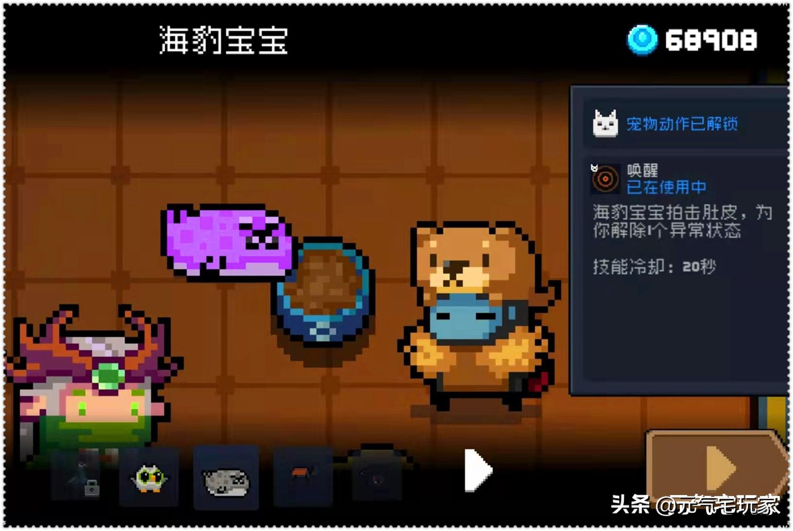 【寵物宅設計情報分享】元氣騎士：哪只寵物練了不虧？炎焱墊底，涼屋老「梗」意外驚艷