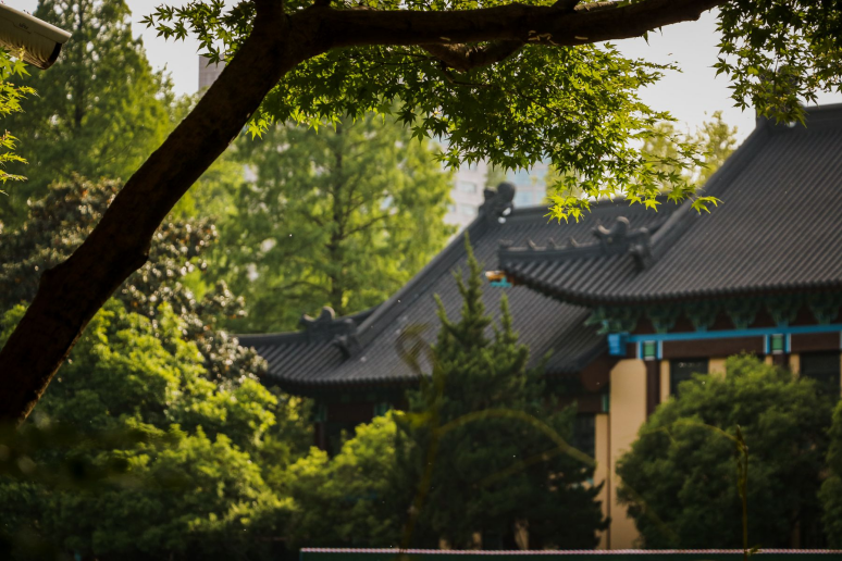 “夏”一站，来南京师范大学吧！听一城繁华古韵，品一校百廿芳华！