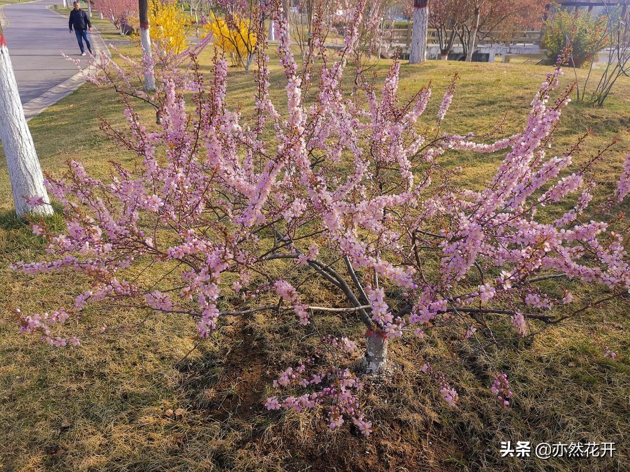 运用三种元素，采用四种方法，让对话描写出真实场景
