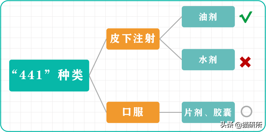 猫咪疑似传腹了，我要怎么做？