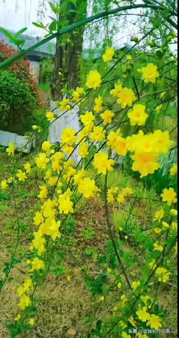 一路鲜花相伴，一路芬芳相随