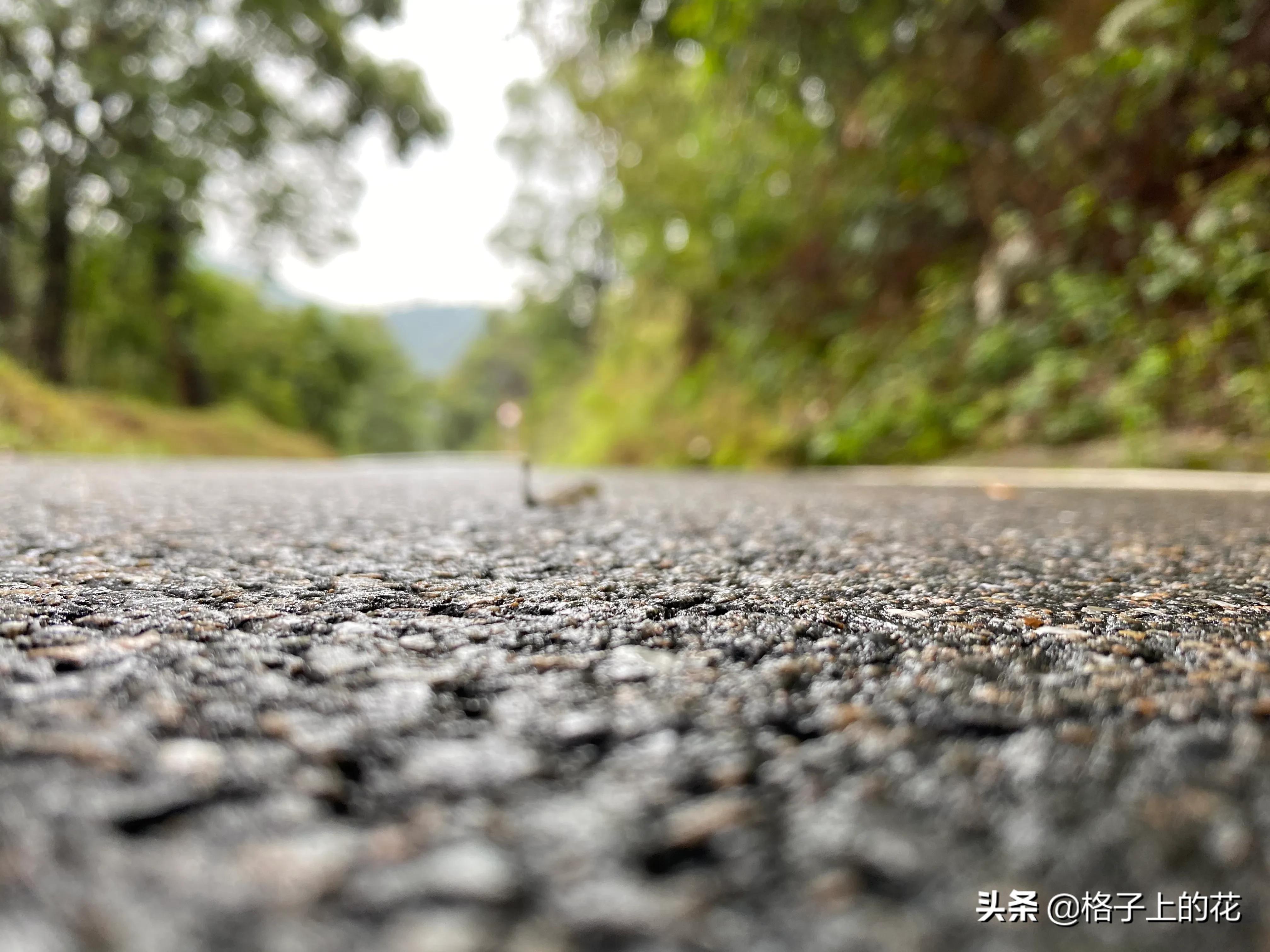 领导带着我们去爬惠州罗浮山，一行人花费超过千元。这风景确实美