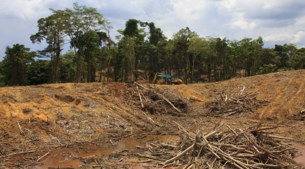 йɳĮɭֿ֣ȴ67%ȵĸԴҵˣ