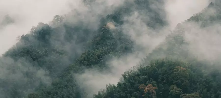 山居,生活本来的样子