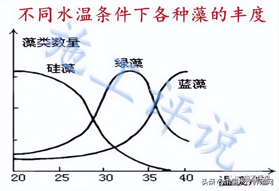 一天一个价，江苏30条对虾冲到24块！南方也缺货，下个月还会涨？