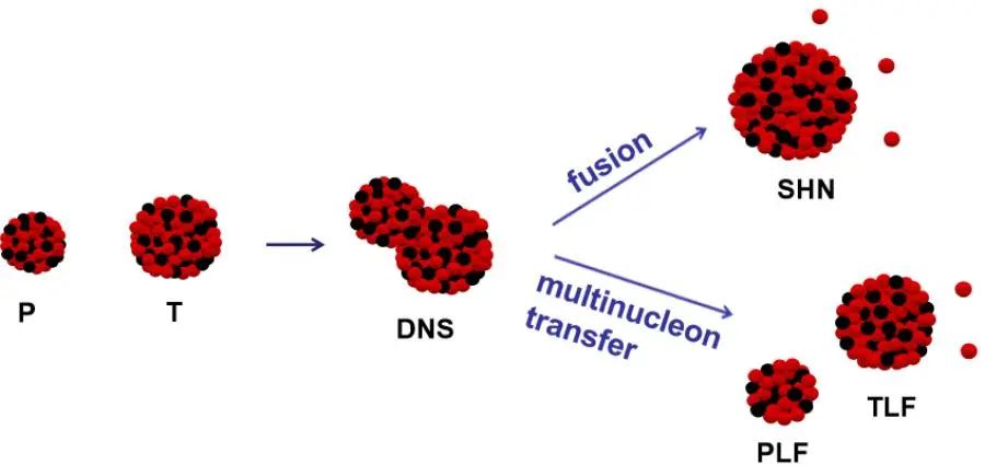 辐射所在站博士后李静静在合成放射性新核素基础研究取得新进展