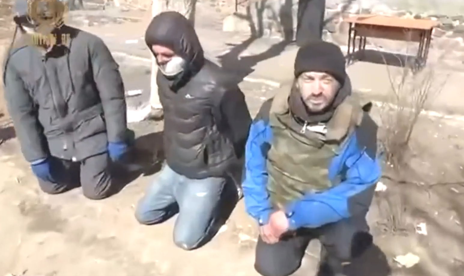 ����ս������β���׶Σ�����������еУ�����Ӫ���һ�ž���Ͷ��