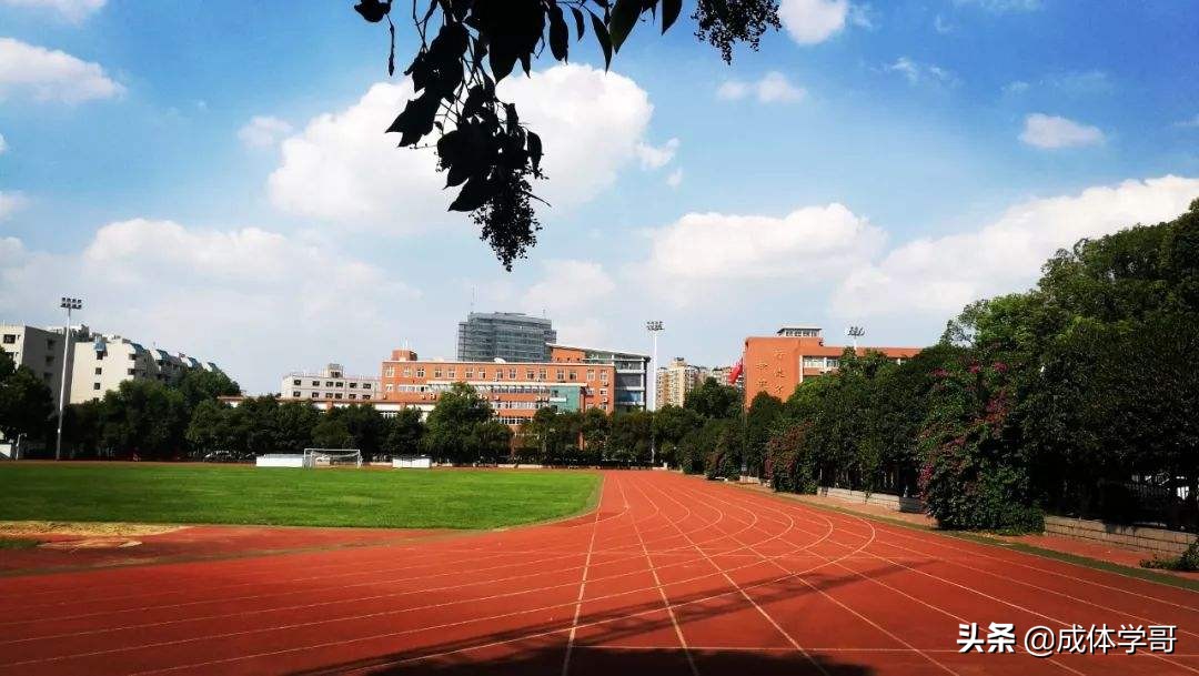 2023年成体考研寒假复习计划