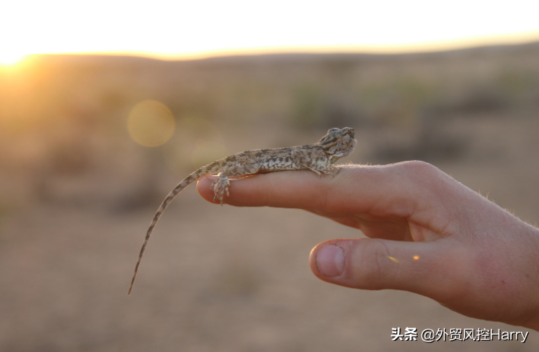 纳米比亚外贸欠款催收注意事项，怎么向纳米比亚客户追讨货款？