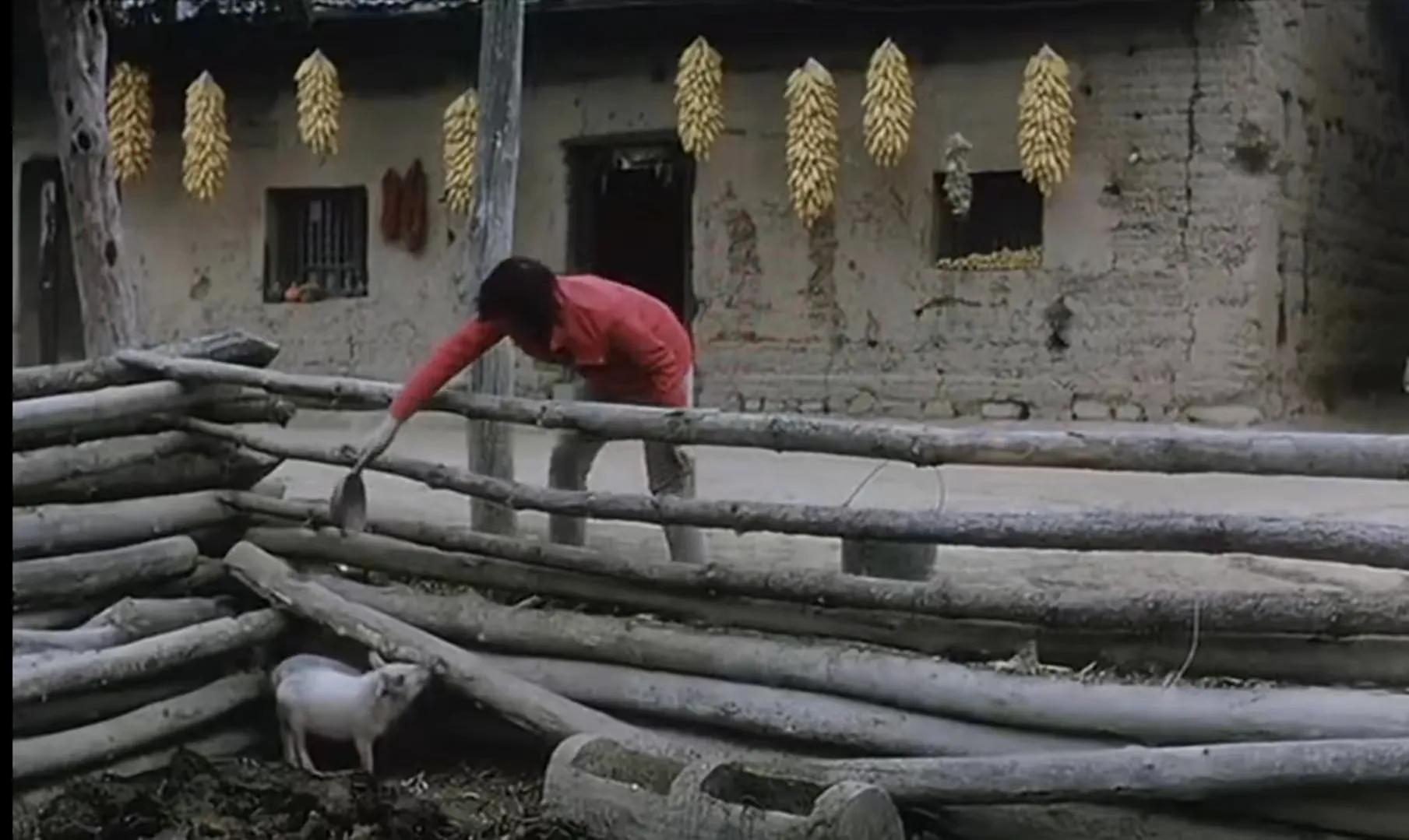 电影《盲山》：真实事件改编，被拐到大山，女大学生的悲惨命运